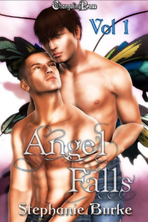 Cover - Angel Falls Vol. 1