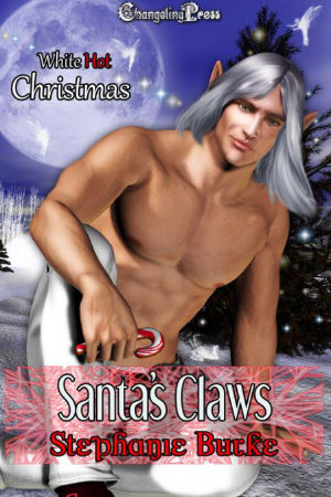 Cover - Santa's Claws (Holiday Business 1)