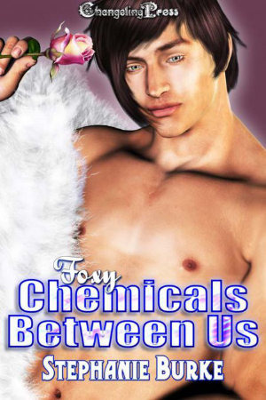 Cover - Chemicals Between Us (Foxy Multi-Author 2)