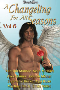 Cover - A Changeling For All Seasons 6
