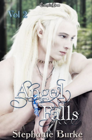 Cover - Angel Falls Vol. 2